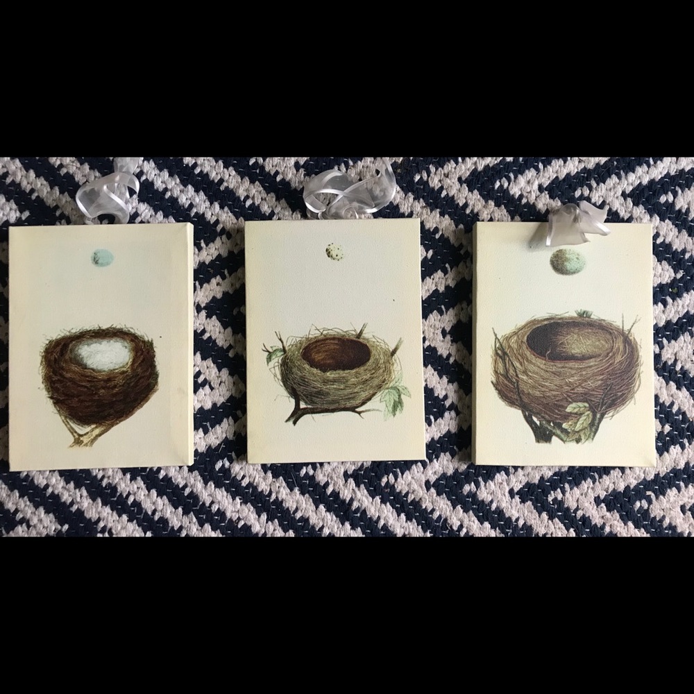 Series of 3 nest canvases from Etsy